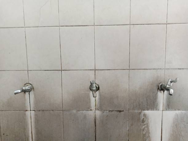 Best Carpet water damage restoration  in Tarboro, NC